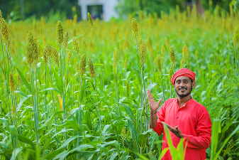 Collect from farmers
