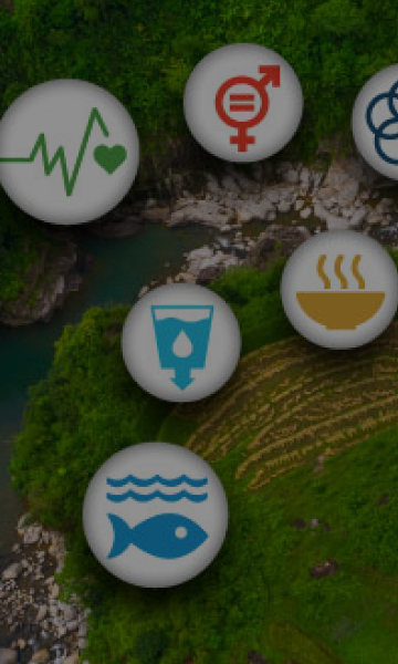 Sustainability